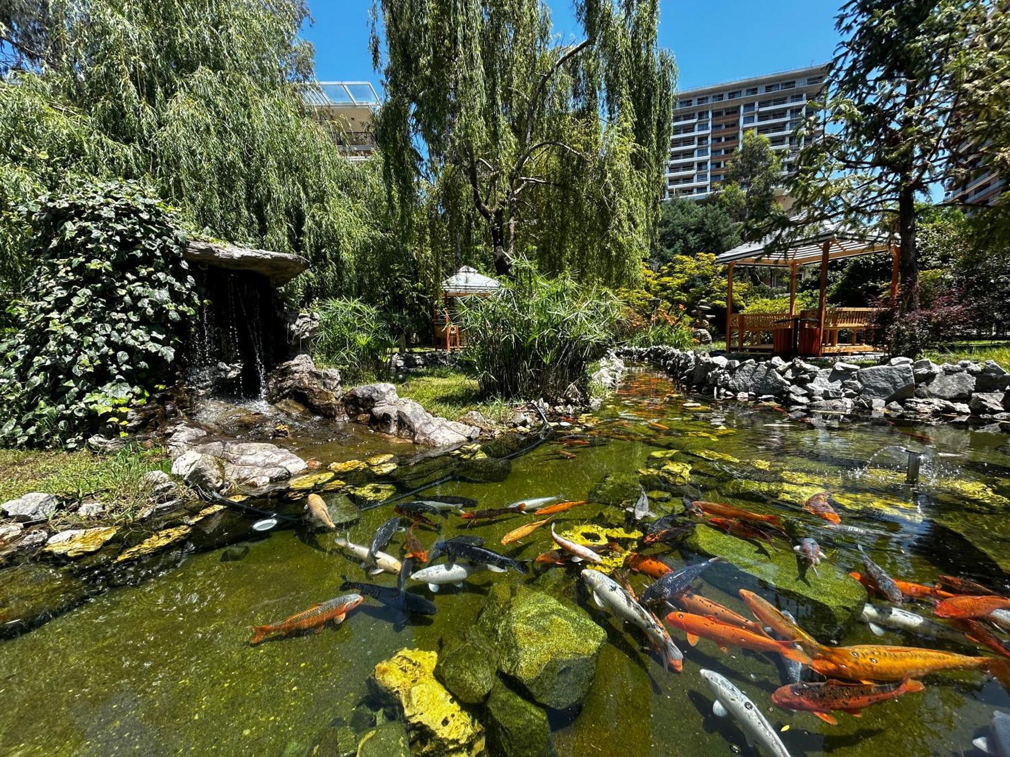 Cемейный Номер С Балконом На 4 Чел Dreamland Oasis Chakvi Exteriör bild