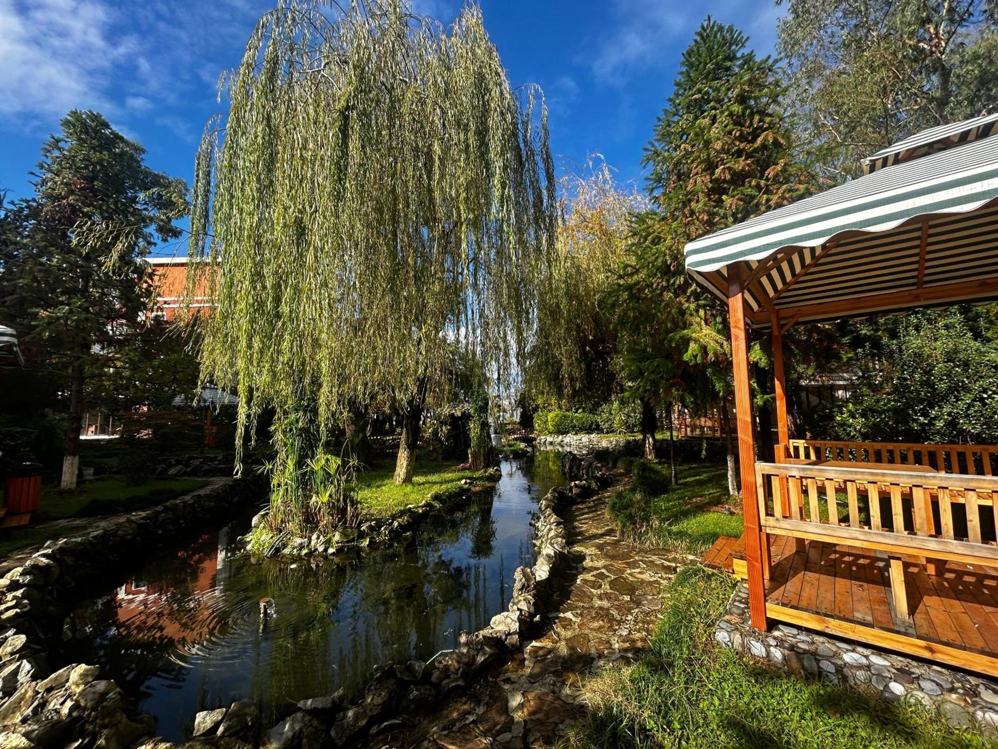 Cемейный Номер С Балконом На 4 Чел Dreamland Oasis Chakvi Exteriör bild