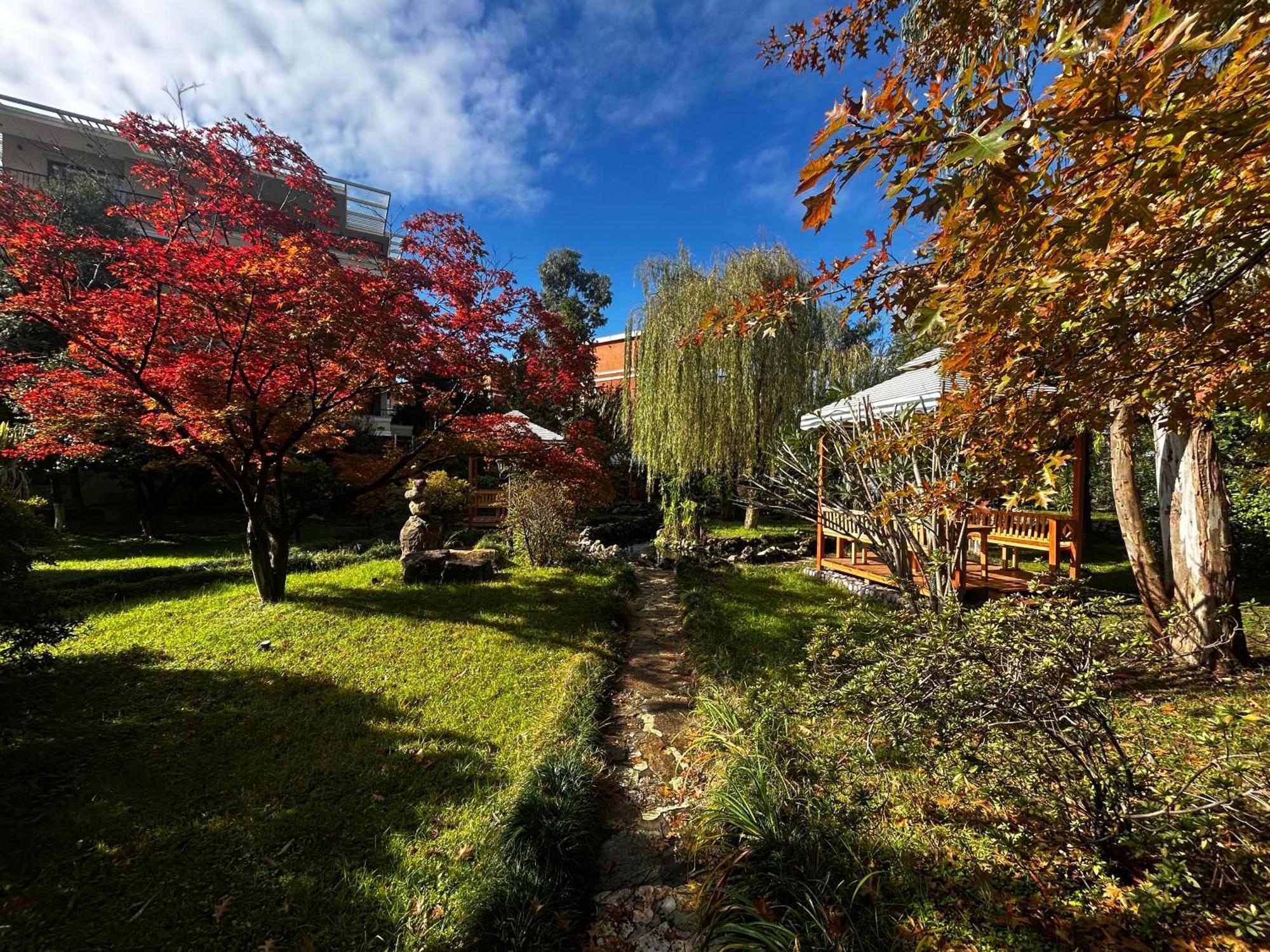 Cемейный Номер С Балконом На 4 Чел Dreamland Oasis Chakvi Exteriör bild
